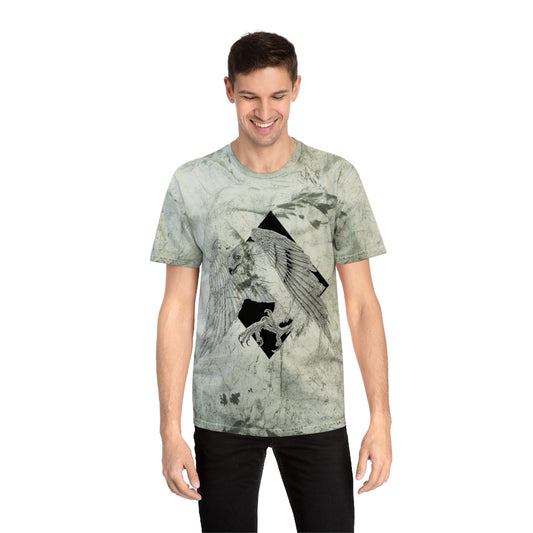 Sparrow Hawk Unisex Color Blast T-Shirt