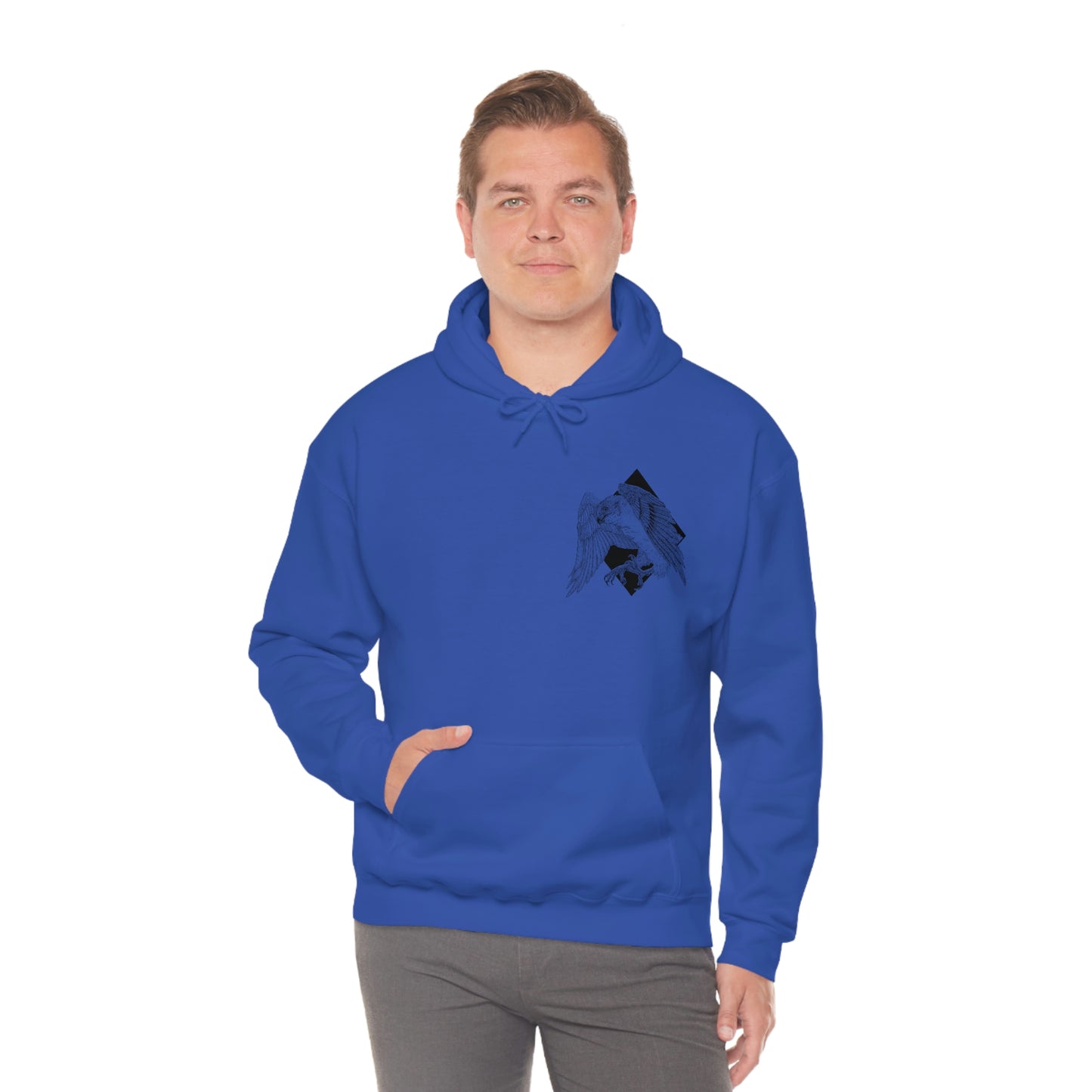 Sparrow Hawk Unisex Hooded Sweatshirt